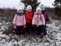 Экскурсия в зимний лес Экскурсия в зимний лес