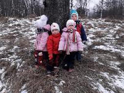 Экскурсия в зимний лес Экскурсия в зимний лес
